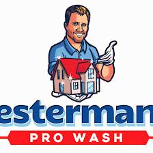 Testerman's Pro Wash