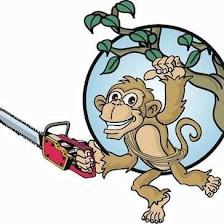 Monkey Business Tree & Crane Service