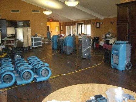 Expert Water Removal