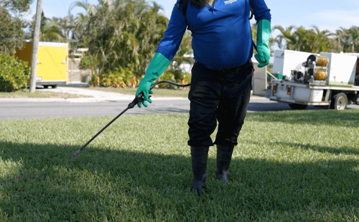Westfall's Lawn and Pest Control