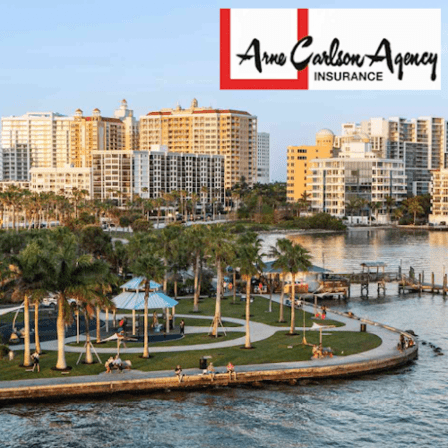 Arne Carlson Insurance