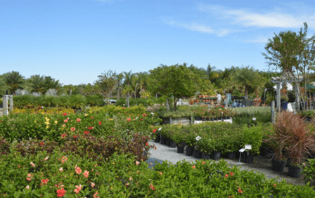 Hazeltine Nurseries, Inc.