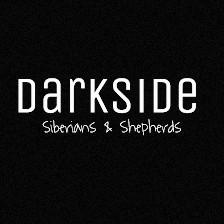 DarkSide K9's