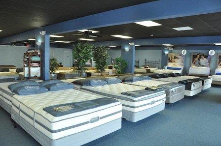 A Purrfect Mattress