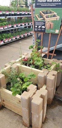 Garden Center at The Home Depot