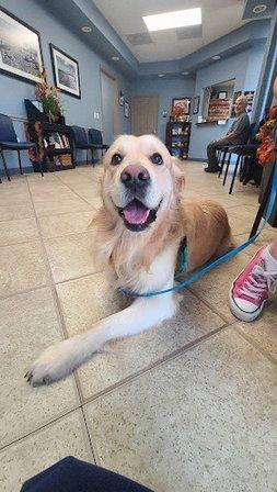 Gulfcoast Veterinary