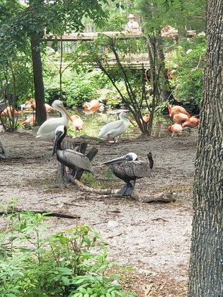 Wilderness Park
