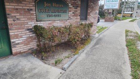 Joy Hayes Official Court