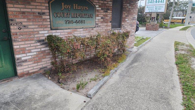 Joy Hayes Official Court