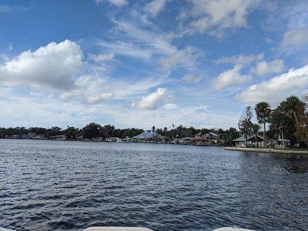 Manatee Tours and More