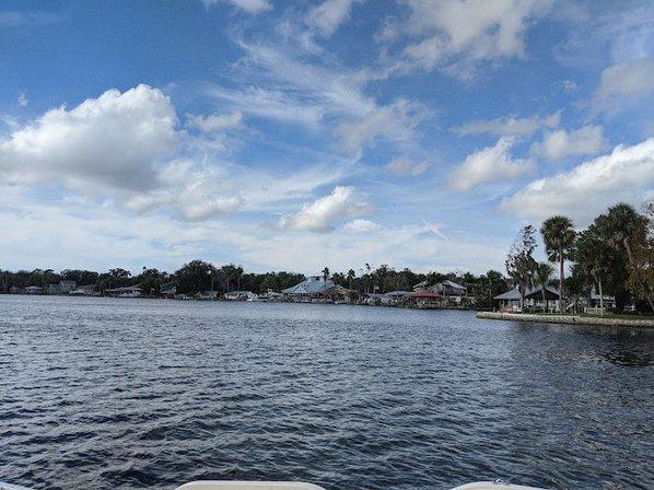 Manatee Tours and More