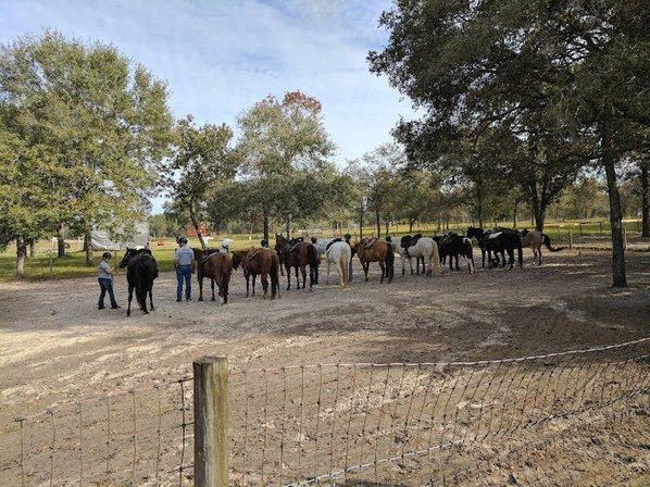 Southern Skies Ranch