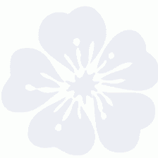 Points of Wellness: Japanese Acupuncture Center
