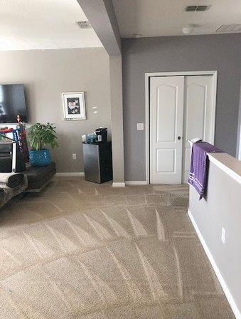 Andrew the Carpet Man