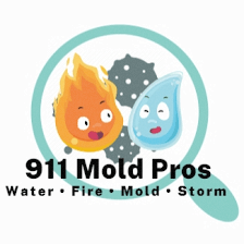 911 Mold Pros