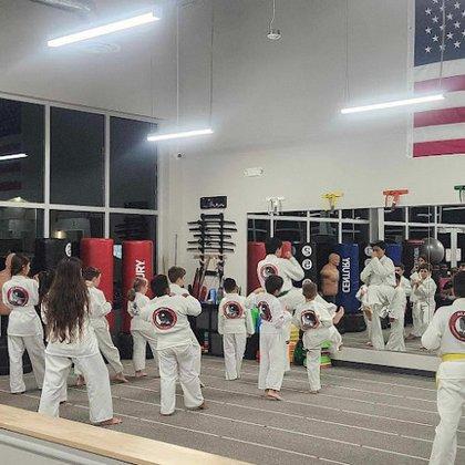 Alpha Martial Arts Academy