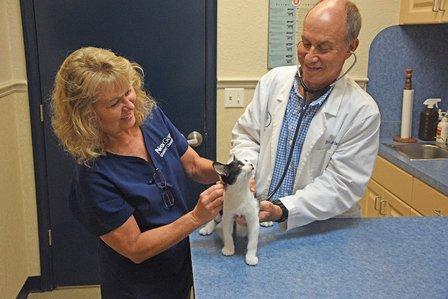 Lemon Bay Animal Hospital