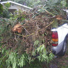 Fast Junk Hauling Service