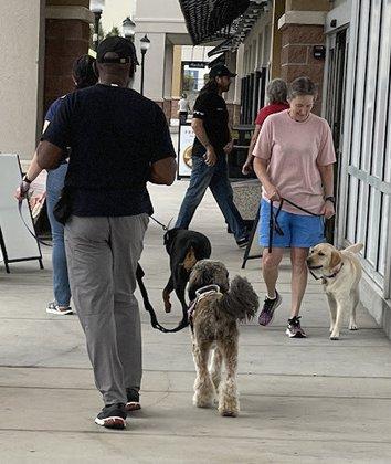 Confident K9 USA Brooksville, Fl