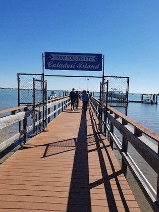 Caladesi Island Ferry Tickets & Information