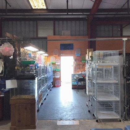 Kingdom Of Pets Inc