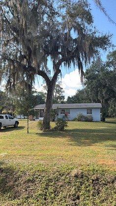 W tree service