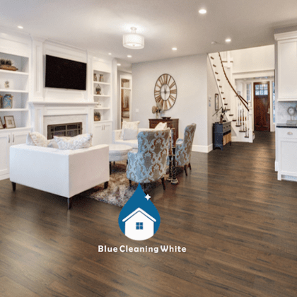 Blue Cleaning White