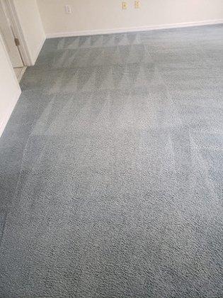 Dan Dan The Carpet Man - Carpet Cleaning Kissimmee
