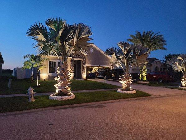12 Voltage Home Decoration