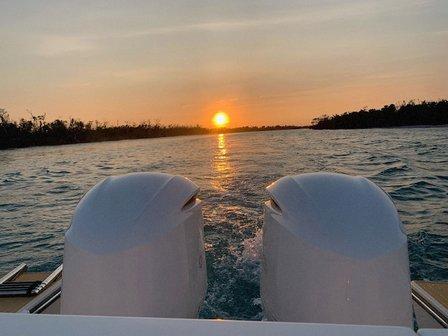 All In Charters