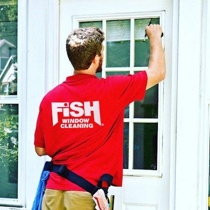 Fish Window Cleaning