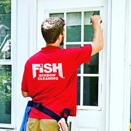 Fish Window Cleaning