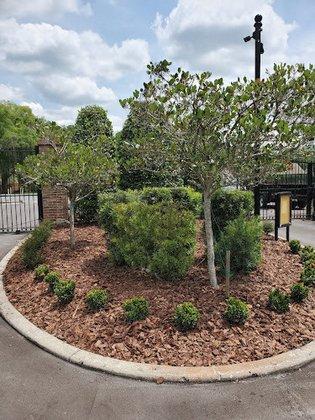 1st Choice Landscaping Inc