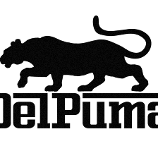 Delpuma Consulting Group