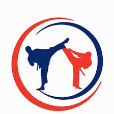 Martial Arts of Leesburg LLC