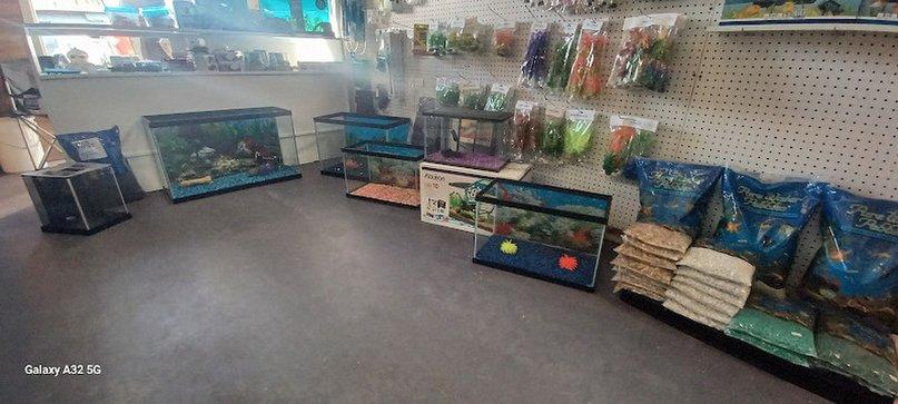 Petsus