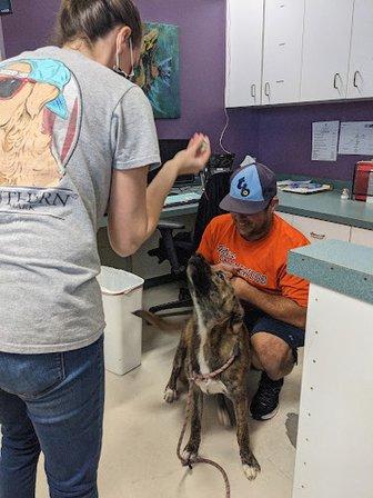 Suncoast Humane Society