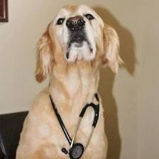 Toledo Blade Animal Clinic