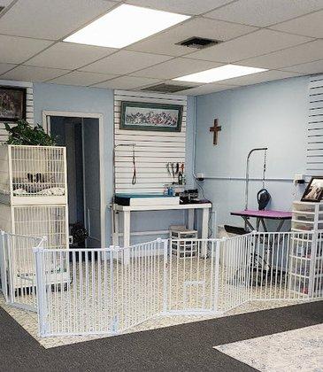 Pampered Paws Salon