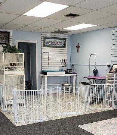 Pampered Paws Salon