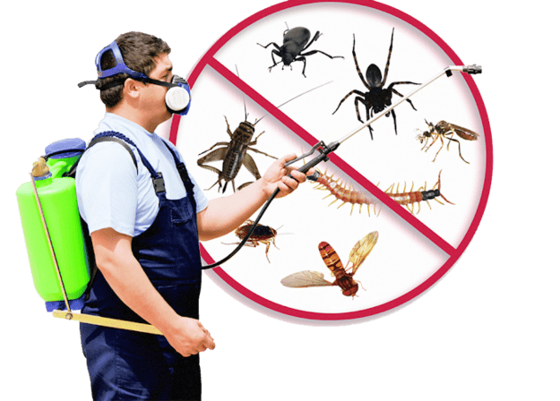 Bug Busters Do It Yourself Pest Control -Bradenton
