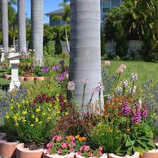 Botanical Solutions SW FL, LLC
