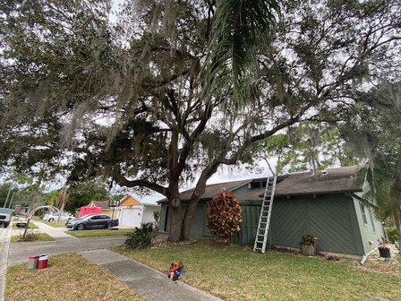 Morgan Tree & Land Service, LLC