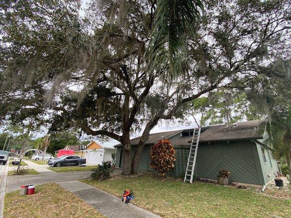 Morgan Tree & Land Service, LLC