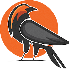 Black Sparrow Studios