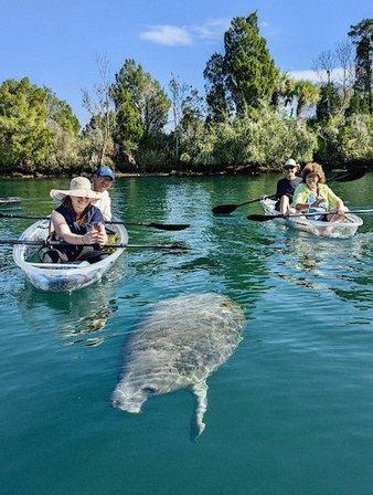 Get Up And Go Kayaking - Crystal River