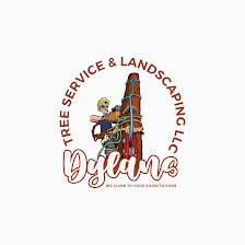 Dylan's Tree Service and Landscaping LLC