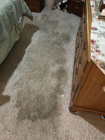 Quick Dry Carpet & Upholstery