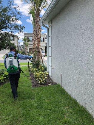 Webenex Services Pest Control