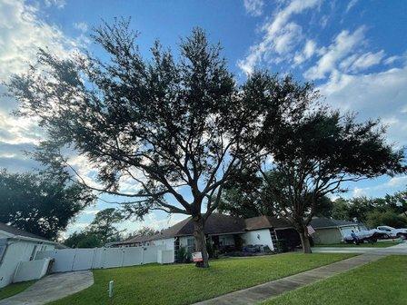 AB Landscaping and Tree Service LLC